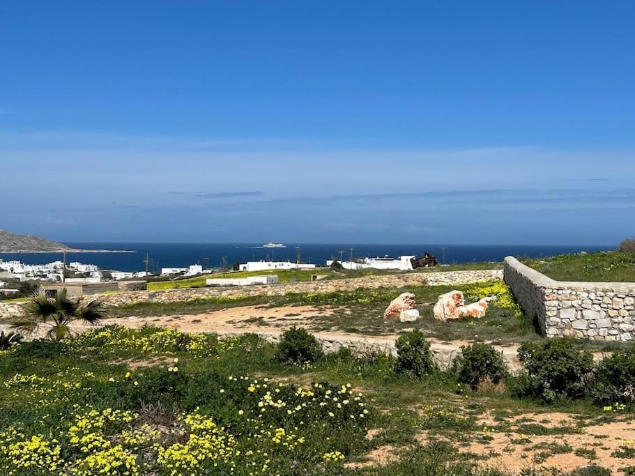Aretousa Residence In Naoussa, Paros 外观 照片