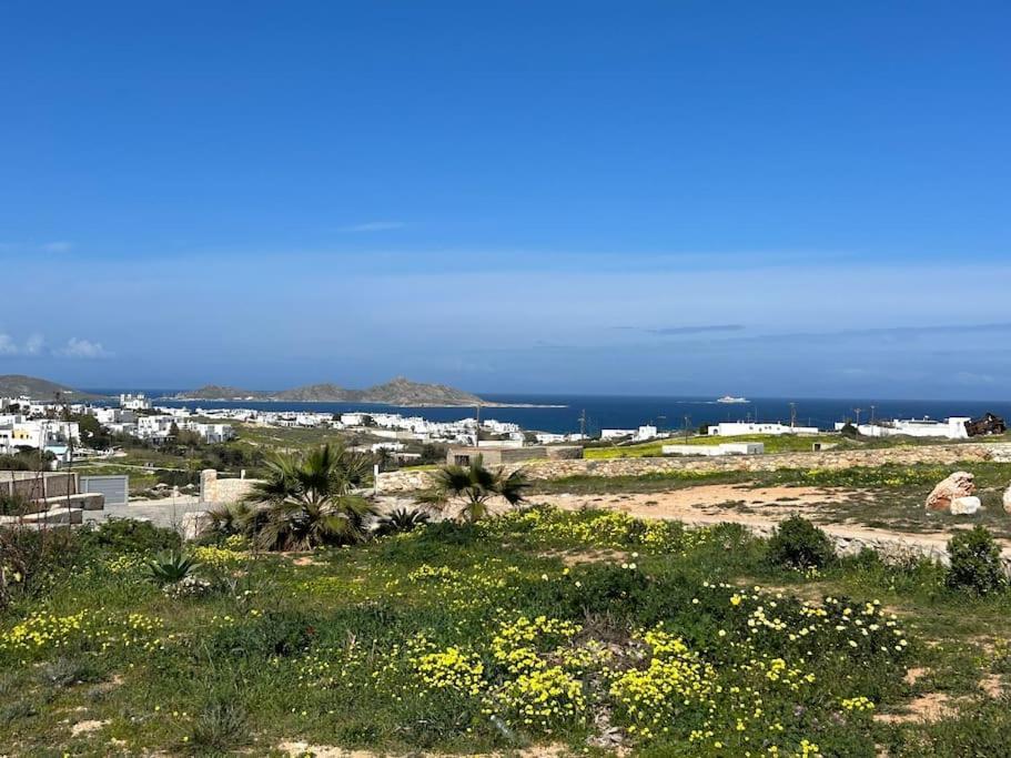 Aretousa Residence In Naoussa, Paros 外观 照片