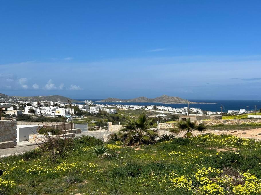 Aretousa Residence In Naoussa, Paros 外观 照片